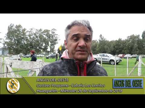 26-09-18 Nota Gustavo Pouyanne - Cab Los Cerritos - Angus del Oeste - Huanguelen