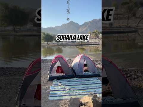 Camping in suhaila lake #dubai #shorts