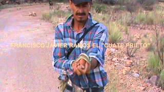 preview picture of video 'serpiente de la sierra de sonora mexico'