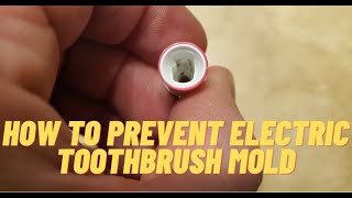 How to Prevent Electric Toothbrush Head Mold