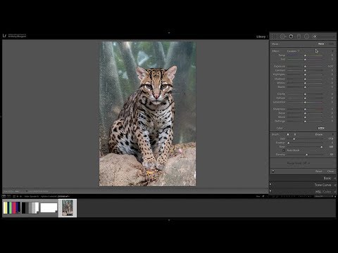 Mastering Lightroom Classic CC - 10: Adjustment Brush