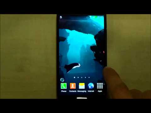 3D Sharks Live Wallpaper Lite Video