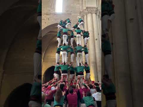 video-cover