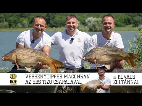 Versenytippek Maconkán az SBS Tizo csapatával
