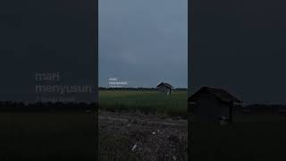 Download lagu bunga seroja #bismillah #bunga #seroja #viral #tiktok #reels #fyp #masukberanda mp3