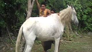 preview picture of video 'subiendo a caballo tur tacuba?'