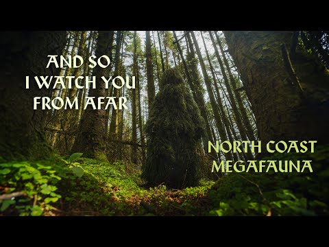 AND SO I WATCH YOU FROM AFAR - North Coast Megafauna - Music Video