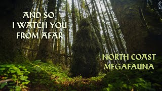 And So I Watch You From Afar – “North Coast Megafauna”
