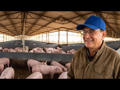OS GIGANTES DA PRODUCAO DE CARNE: COMO UM CARRO DE SORTEIO TRANSFORMOU O GRUPO CABO VERDE