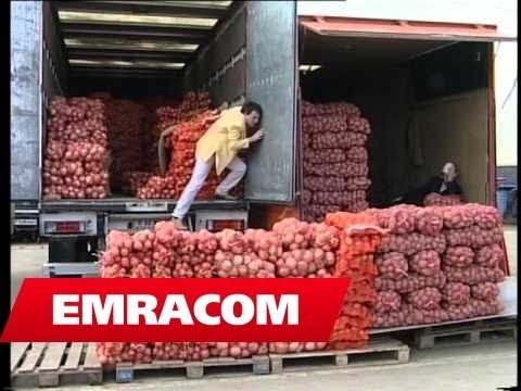 Mixha Bibe & Rrahim struja (Official Video)