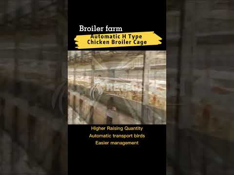 , title : 'The most advanced modern broiler raising technology | broiler farm - RETECH Farming'
