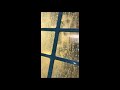 Video abspielen