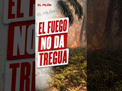 EL FUEGO NO DA TREGUA