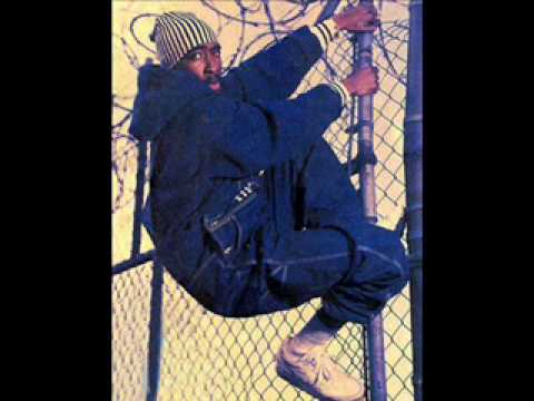 Tupac -Fortune And Fame ft Bryan Adams (Remix) TheLilDice