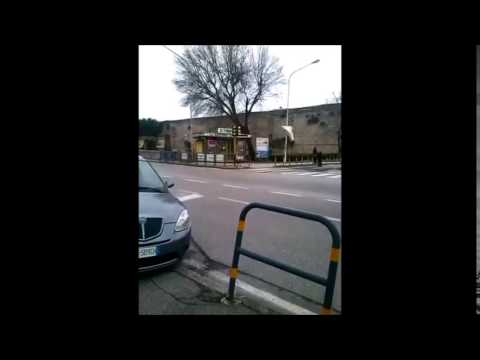 Bufera di vento a Prato: la caduta di un albero