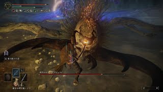 ELDEN RING 暗黒の星々アステール(巨人たちの山嶺:イエロ・アニスの坑道)