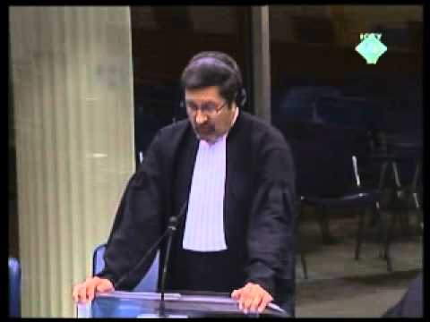 Završna reč Momčila Perišića u Hagu