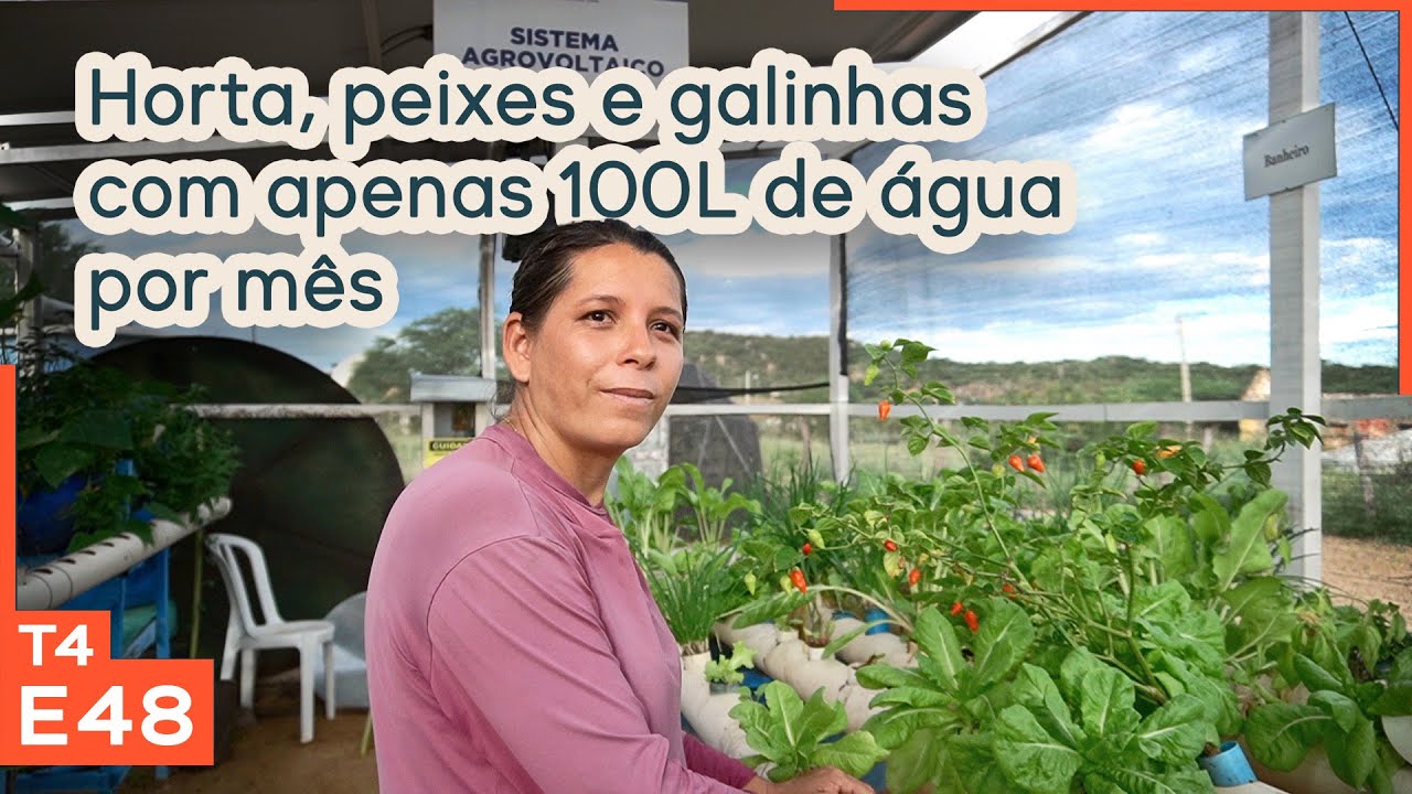 Incrível sistema de aquaponia no semiárido | SERTA Ibimirim