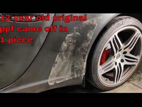 Do Not Attempt To Remove 12 Year Old Paint Protection Film Before This | 3 Month MIA Life Update