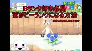[あつ森]Bランク好きな方必見！～家がBランクになる家の作り方～[ゆっくり実況]