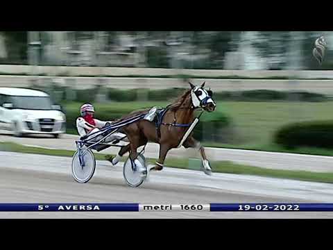 Aversa trotto 19 Febbraio 2022 - 5° Corsa