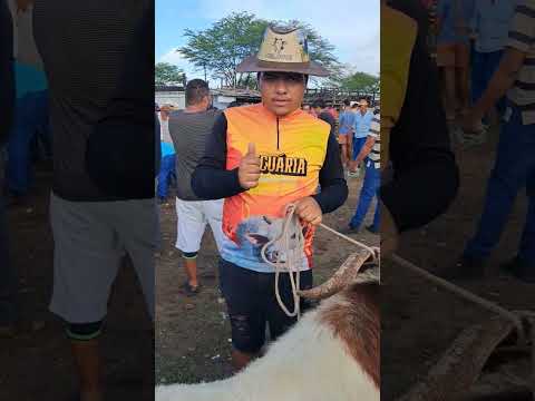 Feira de Caprinos e Ouvinos de Tabira pe 11/03/2026