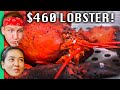 6 Lobster VS 460 Lobster In Vietnam Biggest Lobster In Vietnam