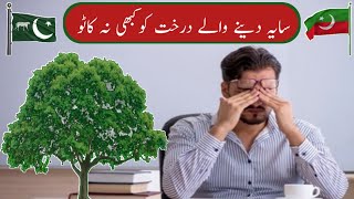 Neither PTI or Non-League respect elders first |Saad Mobiles Chiniot