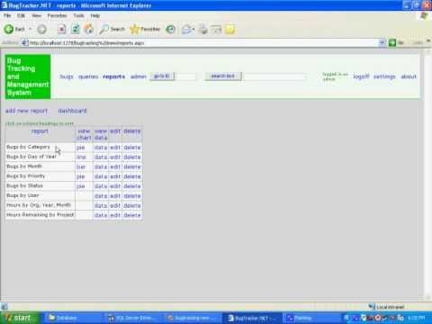 Bug Tracking System