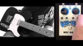 Video thumbnail for Way Huge Echo-Puss by musictoyznetwork