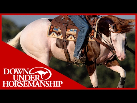 Clinton Anderson Presents: Titan a Legend in the Making, Lesson 10, Part 1 - Downunder Horsemanship
