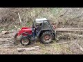 MEPs Shocked By Logging Threat To Romania S Ancient Woodlands