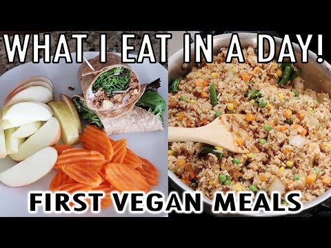 What I Eat In A Day | First Vegan Meals | Easy & Healthy Vegan Recipes | Plant Based Video