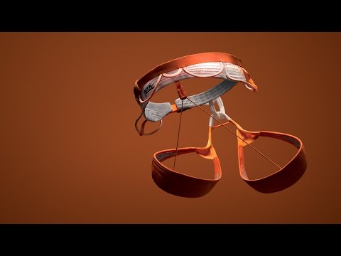 SITTA - Petzl's high end climbing and mountaineering harness