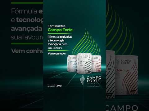 Reels Campo Forte 04
