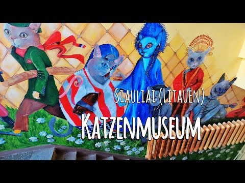 Katzenmuseum in Siauliai (Litauen) 4K