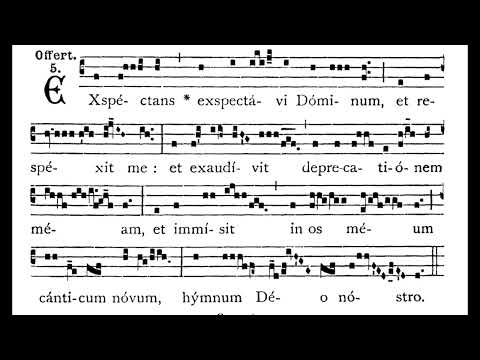 15th Sunday after Pentecost OFFERTORY:  Expéctans expectávi  (solfeggio)