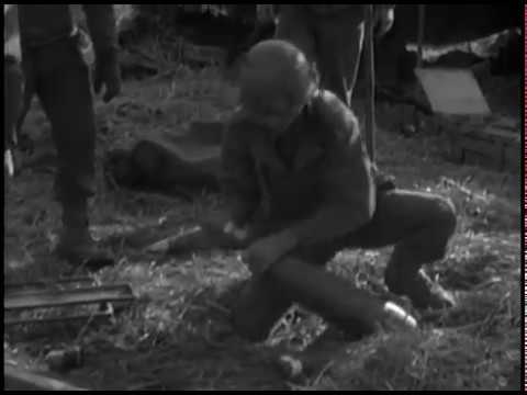 WW2: Firing of 155mm Howitzer, France (October 13, 1944)