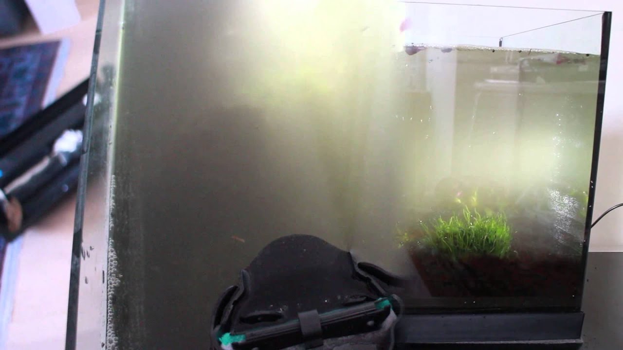 Tetra EasyCrystal FilterBox 300