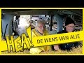 HEA! De wens van Alie