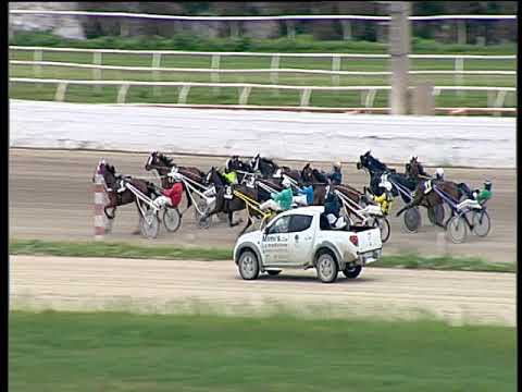 Trotto 31/05/2019 - 8ª corsa