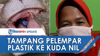 Ini Tampang pelaku yang Lempar Sampah ke Mulut Kudanil, Hari ini Dipanggil Pihak Taman Safari