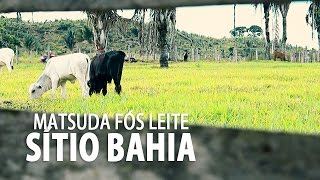 preview picture of video 'Matsuda Fós Leite (Fazenda Bahia)'