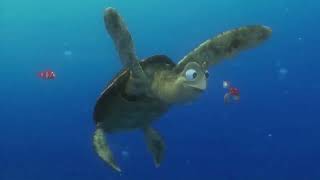 Download lagu Pak Turtle mp3