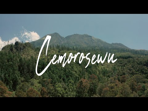 cemorosewu
