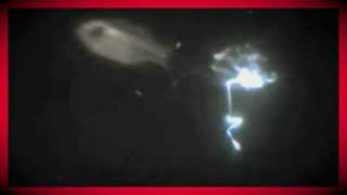 Fish spitting &#39;fireworks&#39;