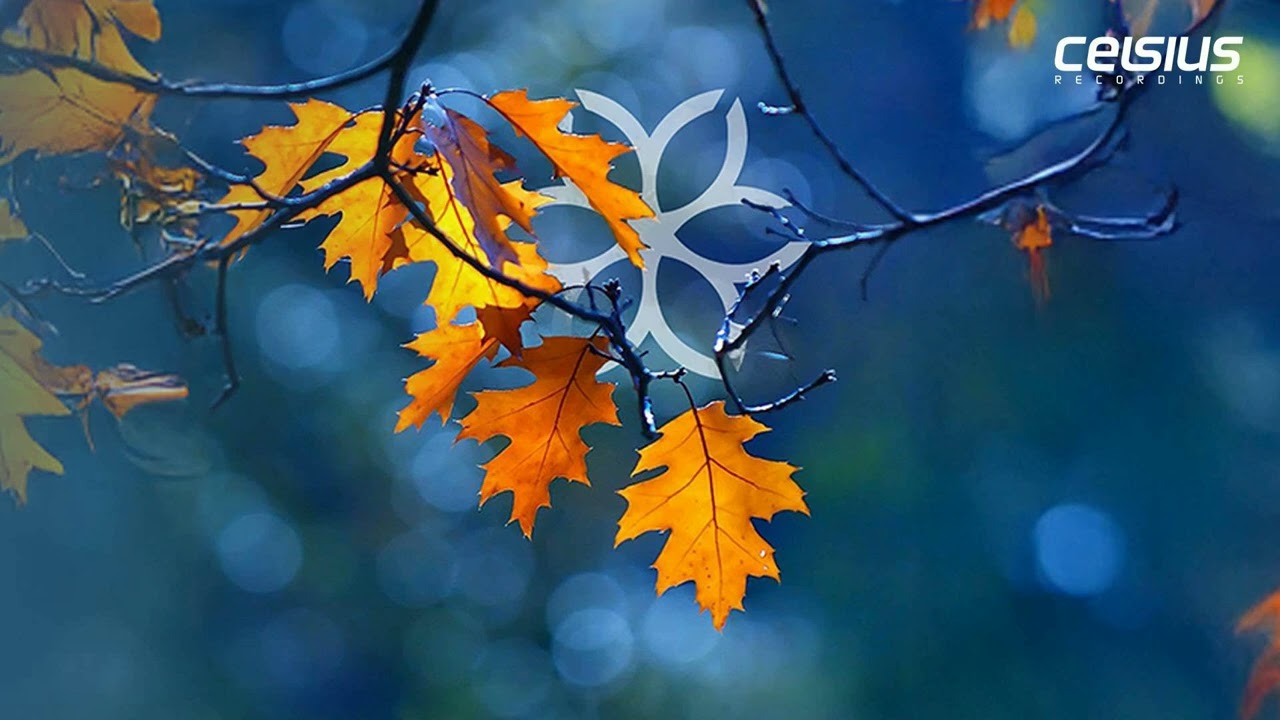 Deeper Connection - Phony Times