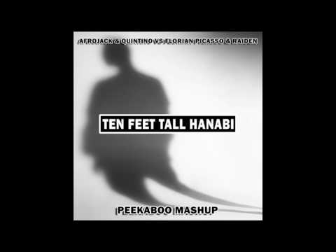 Afrojack & Quintino vs. Florian Picasso & Raiden - Ten Feet Tall Hanabi (Peekaboo Mashup)