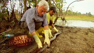 Handling An Electric Eel! | EELS | River Monsters