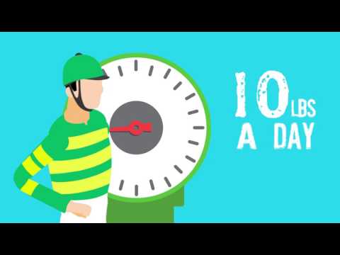 Do you have what it takes to be a top jockey?